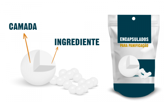 ¿Qué son los ingredientes encapsulados?