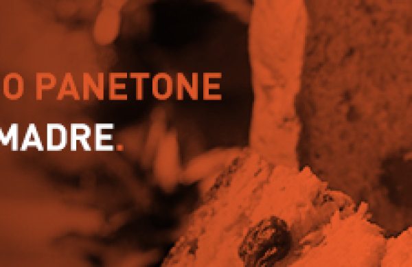 PMAN_Panetone_massa_madre_Blog_Post_808x147