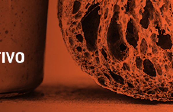 PMAN_massa_madre_diferencial_Blog_Post_808x147