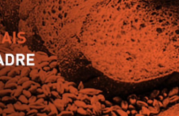 PMAN_pao_massa_madre_Blog_Post_808x147